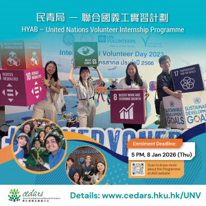 HYAB – United Nations Volunteer Internship Programme 2026